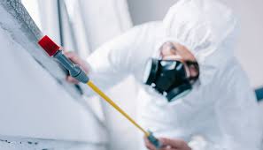 Best Real Estate Pest Inspections  in Bernardsville, NJ